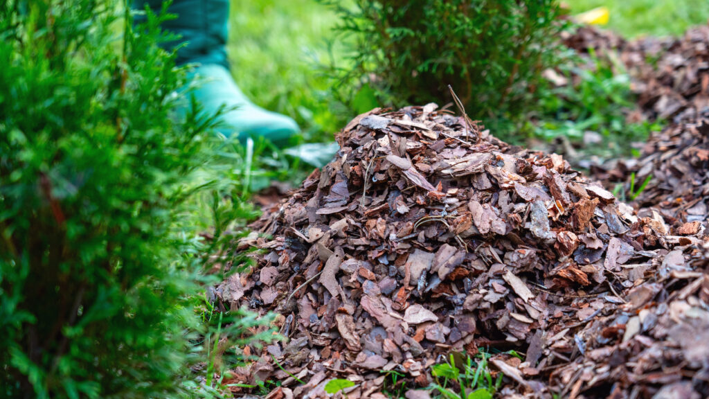 38+ Rindenmulch Im Gemüsegarten, Rindenmulch hält den boden feucht,