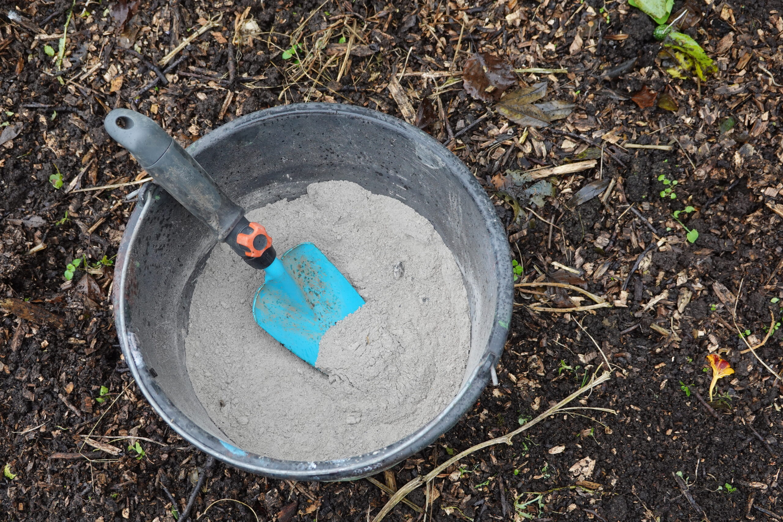 Schaufel in einem Eimer mit Asche als Dünger