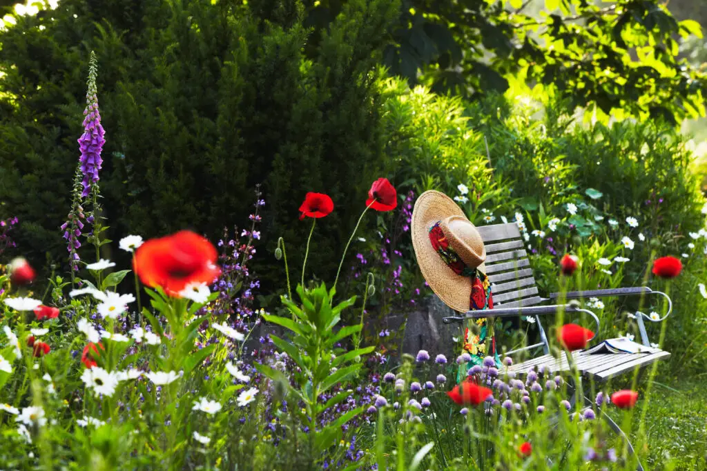 Fingerhut im Garten
