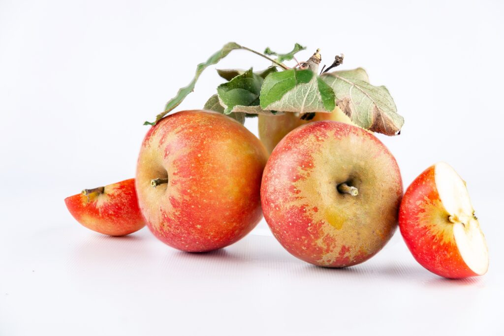 Hoslteiner Cox Alte Apfelsorte