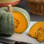 Crown Prince Kürbis