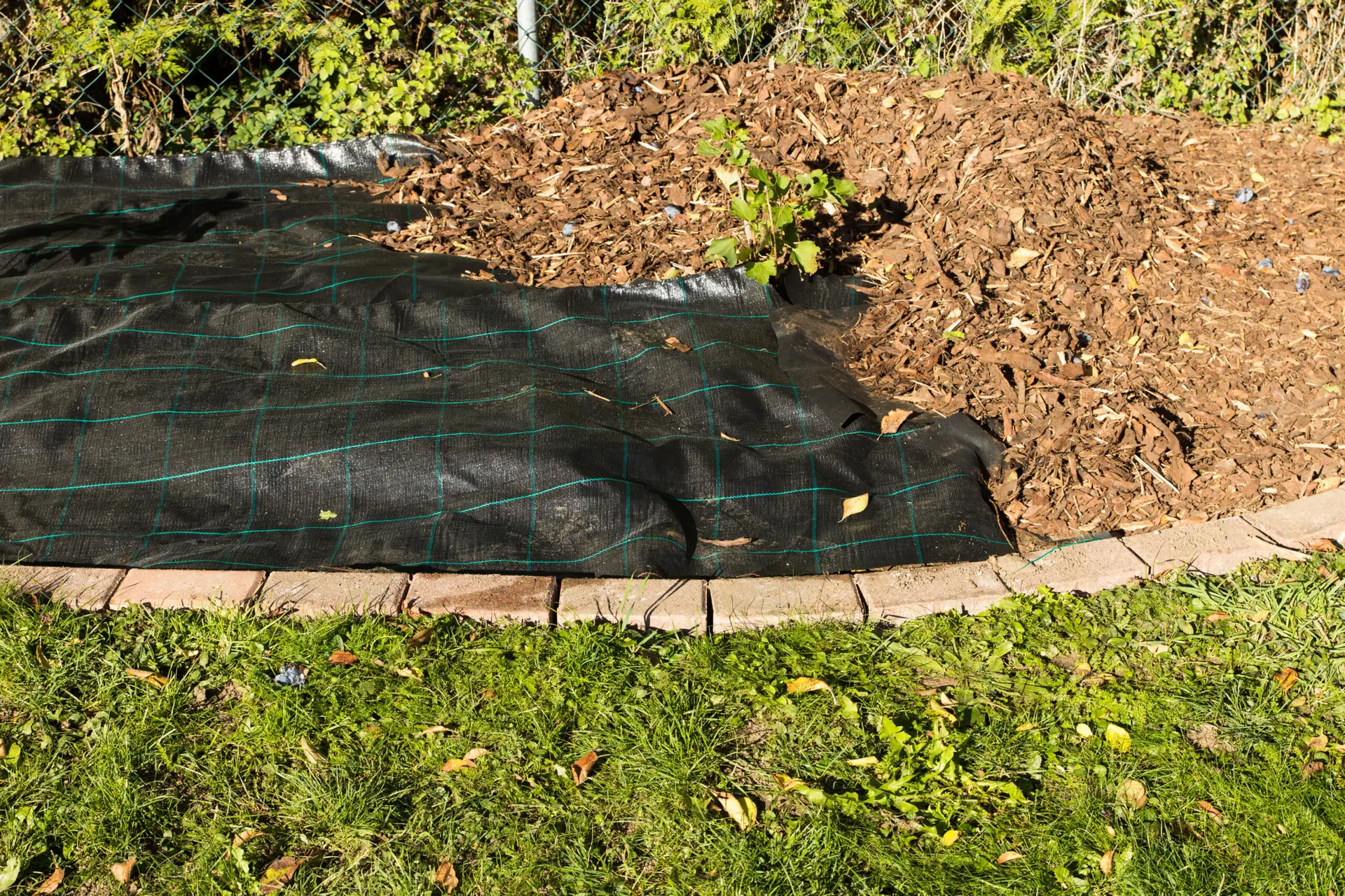 Gartenbeet mit ausgelegtem Unkrautvlies und jungen Pflanzen.