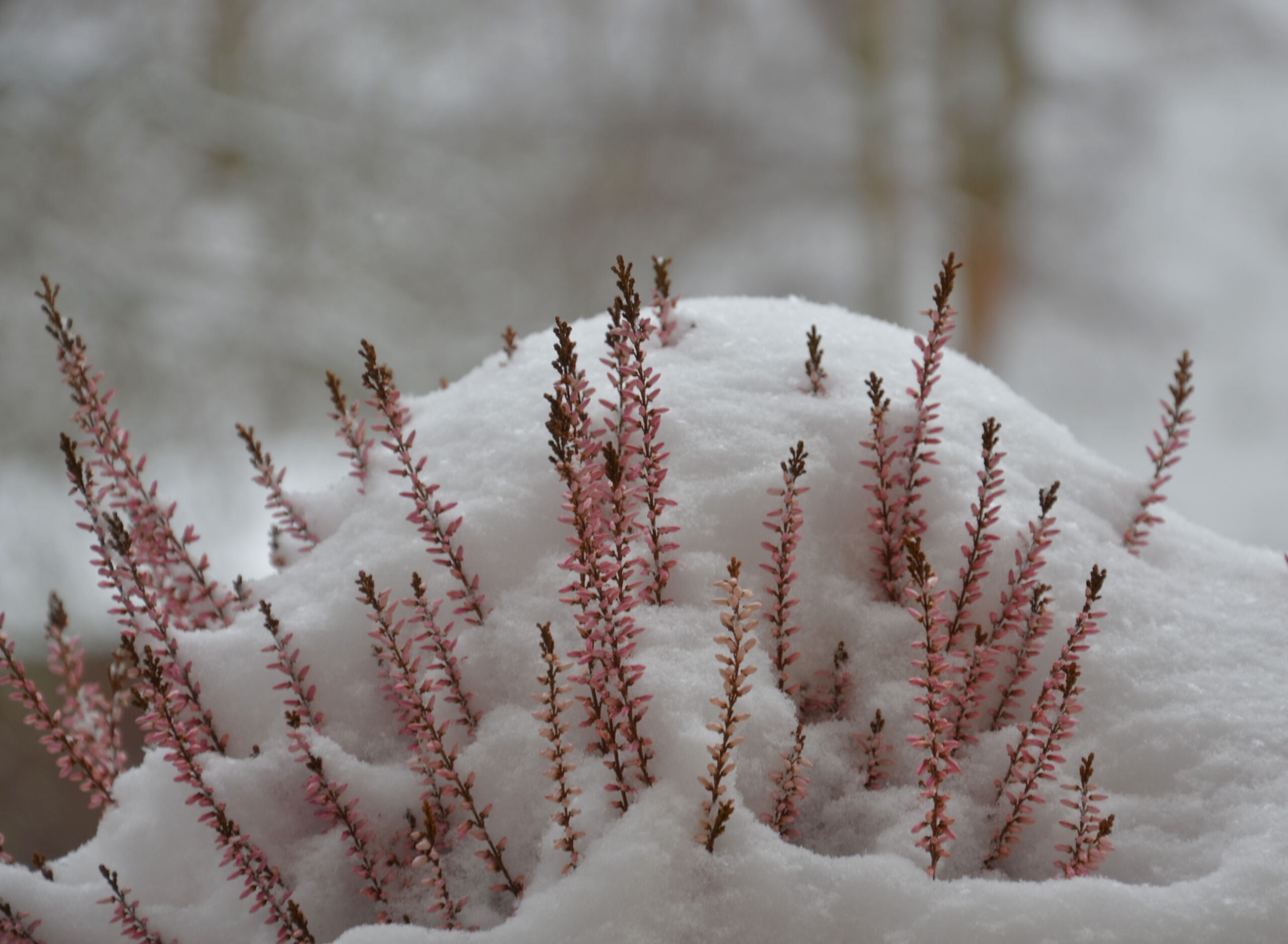 Balkon im Februar