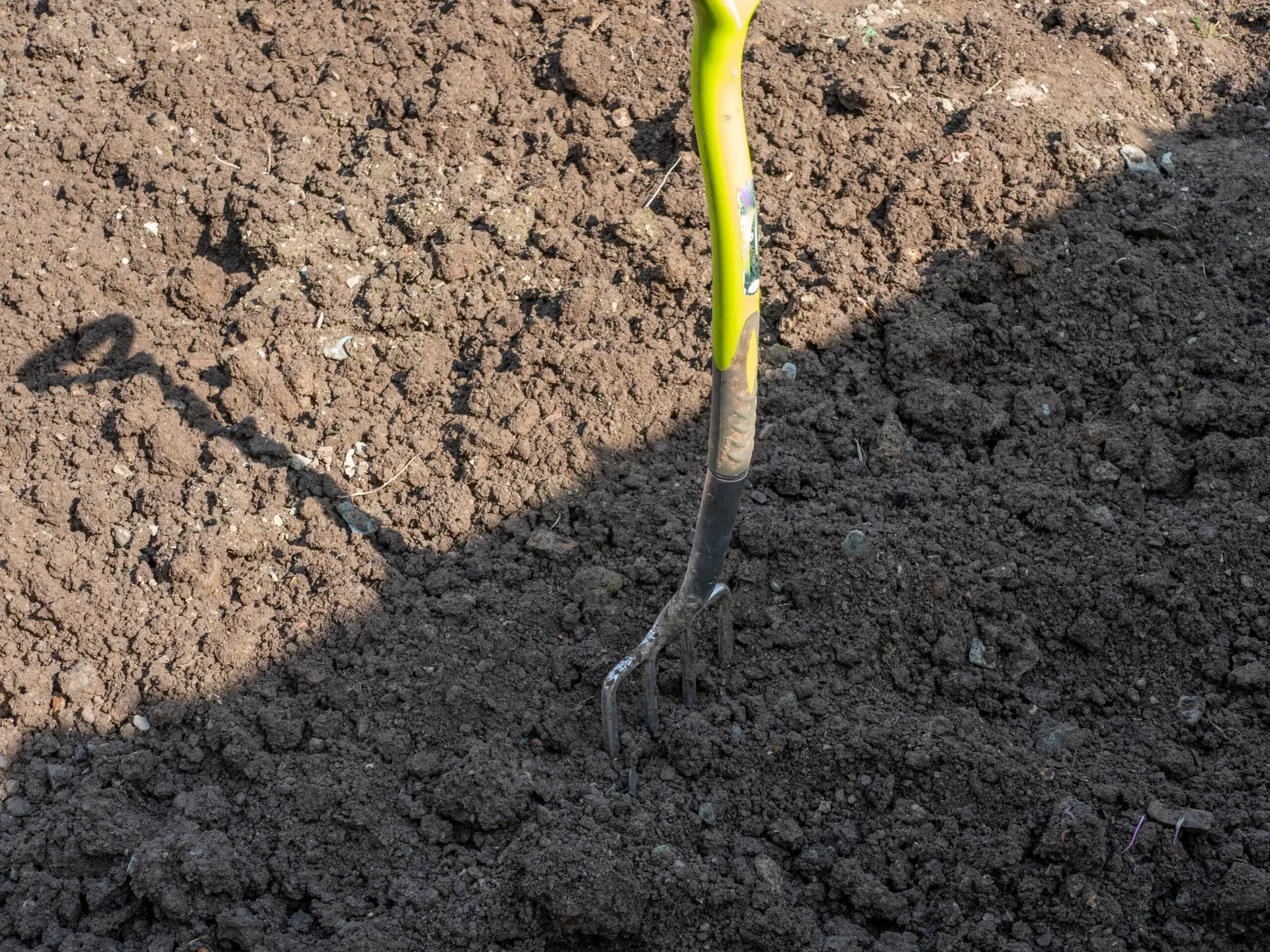 Handkultivator lockert feinkrümelige Gartenerde im Gemüsebeet