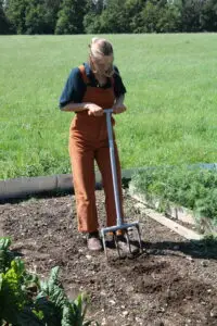 Person lockert ein Gemüsebeet mit einer Broadfork zur schonenden Bodenbearbeitung.