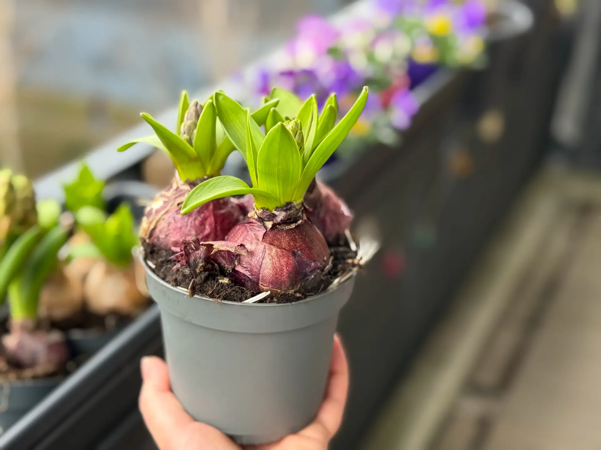 Dein Balkon im April – die Saison ist endlich da