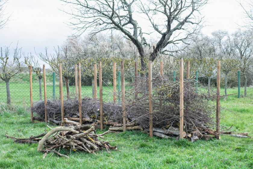 Aufgeschichtete Äste zwischen Holzpfosten als Totholzhecke auf einer Wiese.