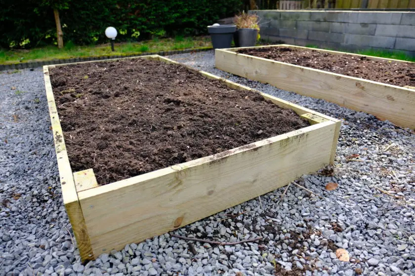 Zwei Hochbeete aus Holz mit frischer Erde im Garten vorbereitet.