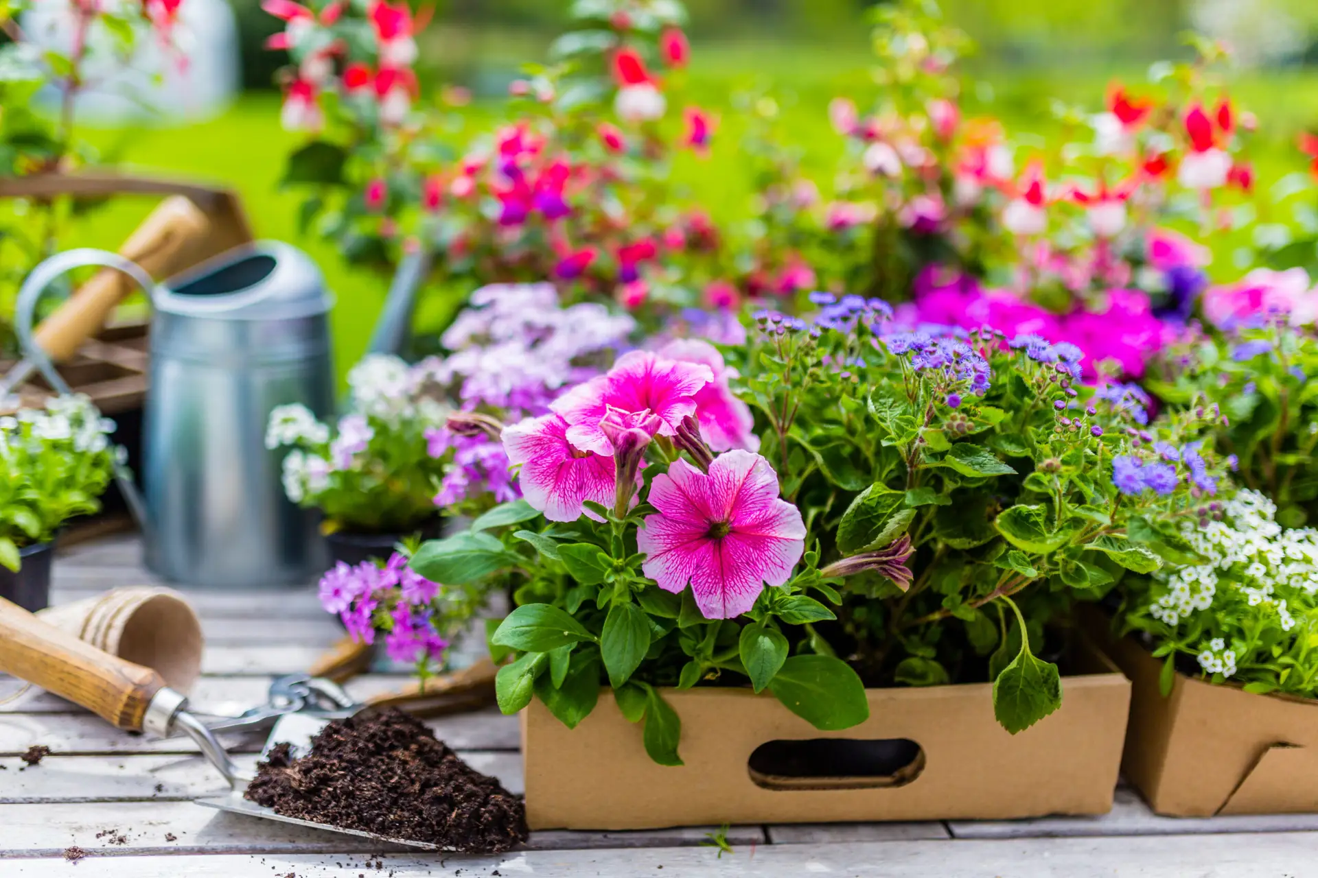 Dein Garten im Frühling – vermeide diese Fehler