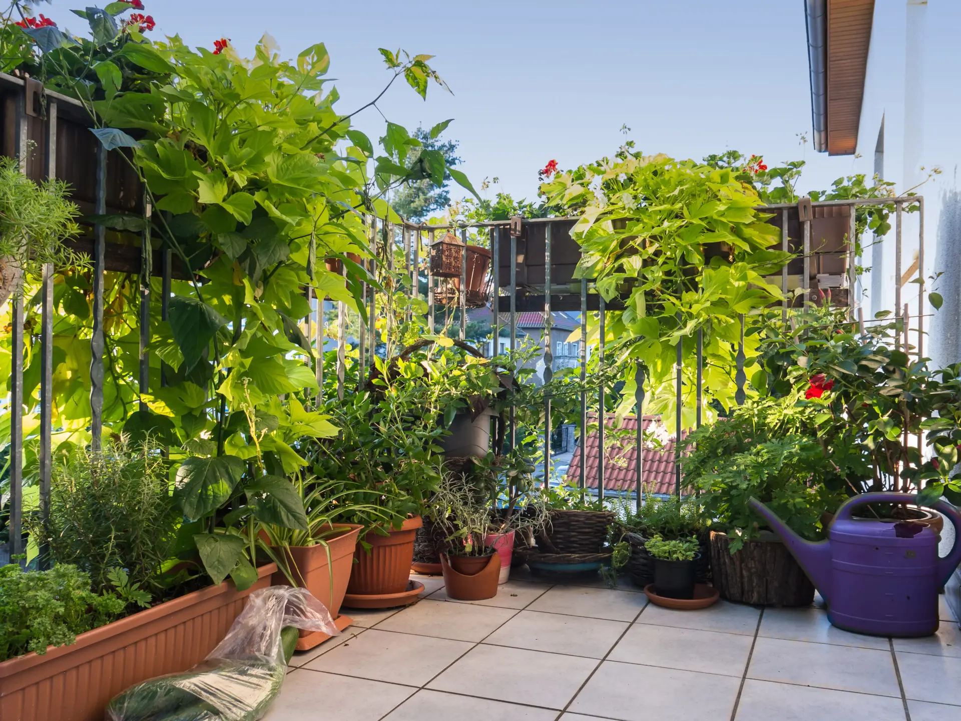 Dein Balkon im Mai – endlich wieder genießen