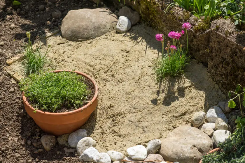 Sandarium aus Sandfläche mit Steinen und Pflanzen im naturnahen Garten.