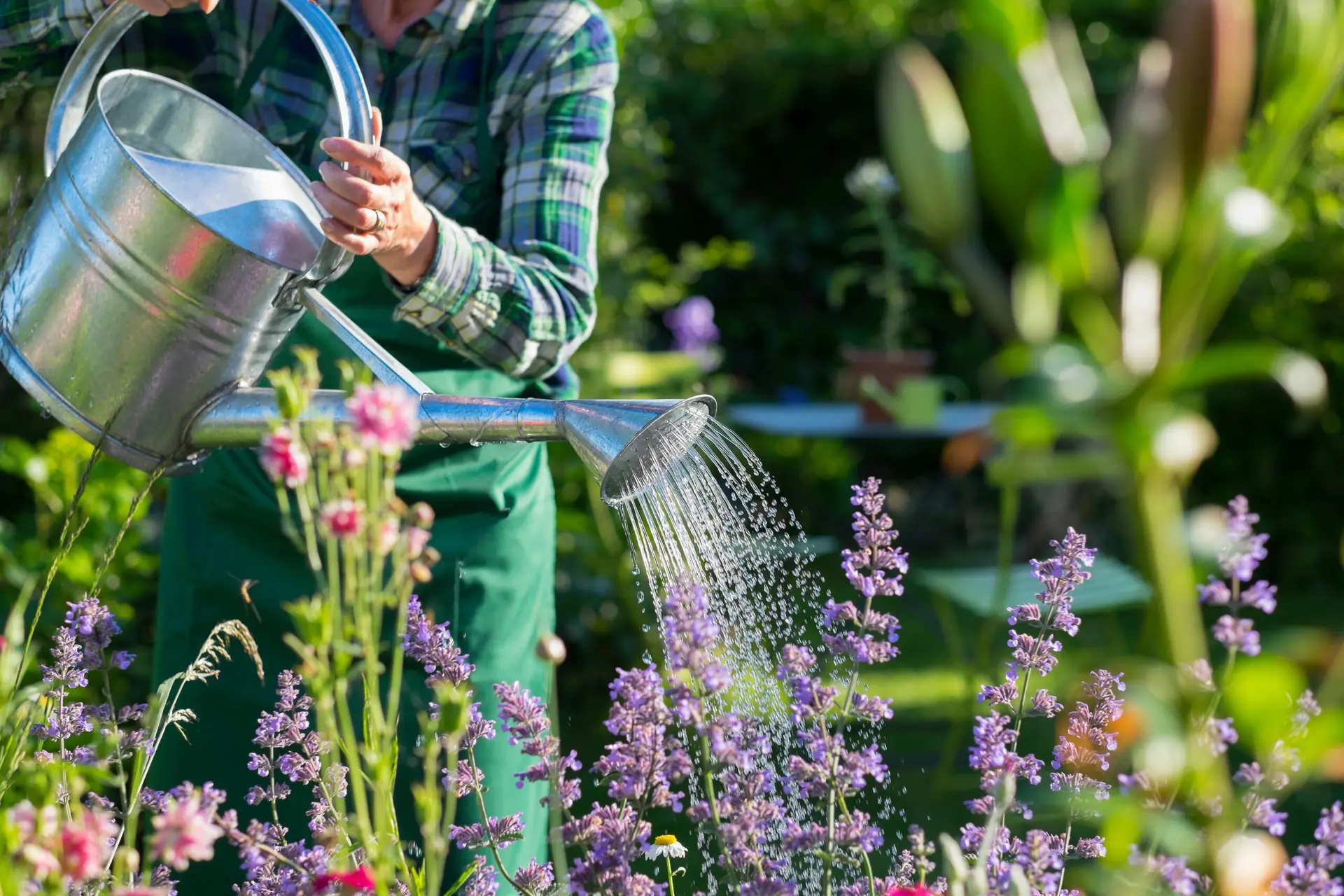 Garten altersgerecht gestalten