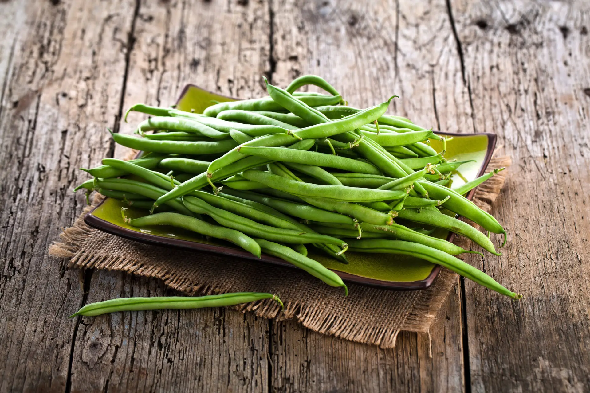 Die 10 besten Stangenbohnen Sorten für deinen Garten