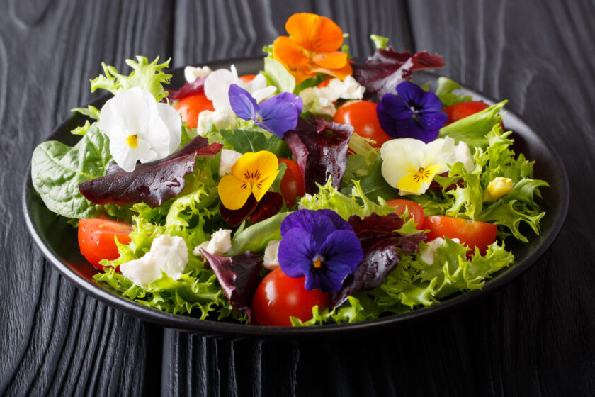 Bunter Salat mit essbaren Blumen, Tomaten und Blattsalat in schwarzer Schale.