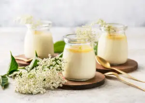 Gläser mit cremigem Quark und frischen Holunderblüten als sommerliches Dessert.