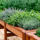 Kräuterhochbeet mit Lavendel, Minze und weiteren Küchenkräutern auf einer Holzterrasse.