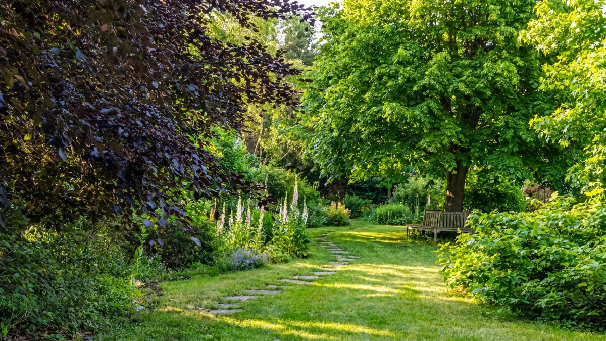 Naturnaher Waldgarten mit Bäumen, Sträuchern, Stauden und geschwungenem Gartenweg.