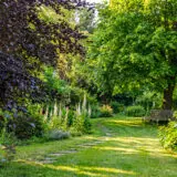 Naturnaher Waldgarten mit Bäumen, Sträuchern, Stauden und geschwungenem Gartenweg.