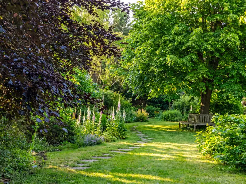 Naturnaher Waldgarten mit Bäumen, Sträuchern, Stauden und geschwungenem Gartenweg.