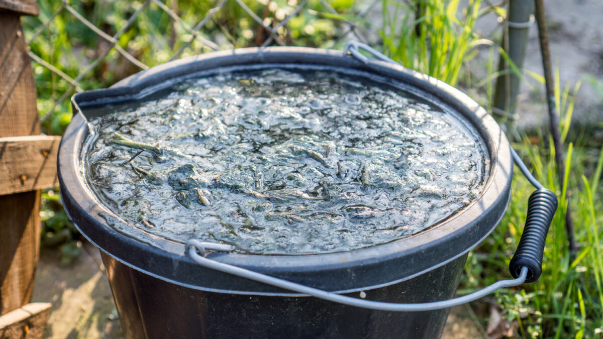 Eimer mit fermentierter Pflanzenjauche zur natürlichen Düngung im Garten