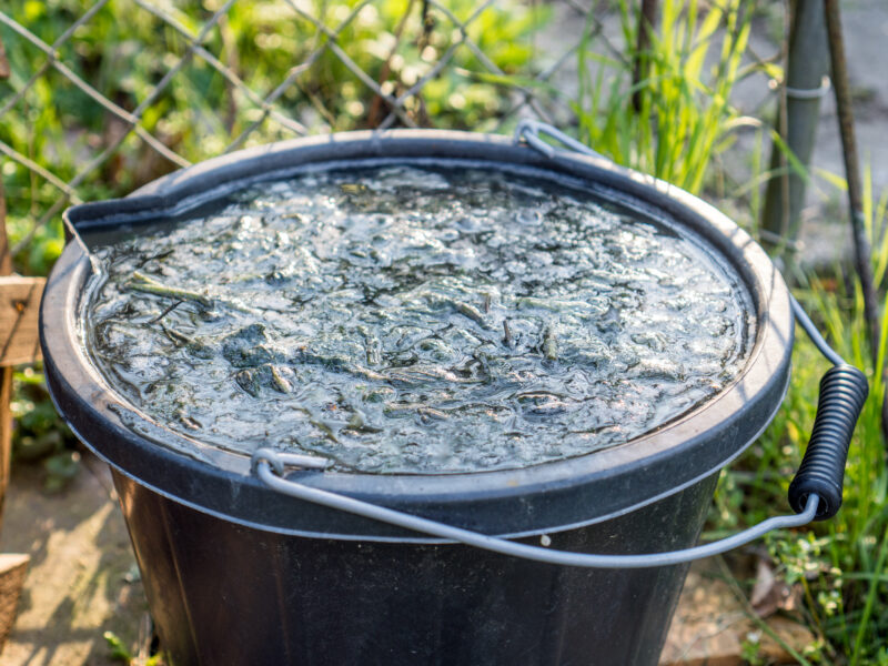 Eimer mit fermentierter Pflanzenjauche zur natürlichen Düngung im Garten